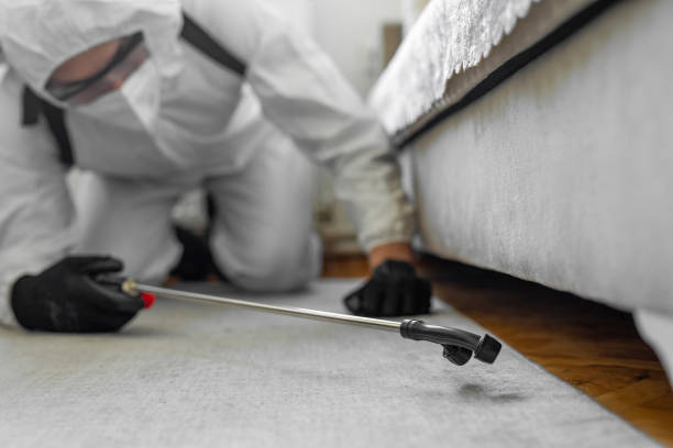 Professional Termite Control technician working in Clark County County, SD